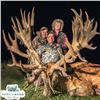 Image 1 : New Zealand Hunt for Two Hunters, Two 450 SCI Red Stags Included