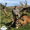 Image 3 : New Zealand Hunt for Two Hunters, Two 450 SCI Red Stags Included