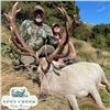 Image 4 : New Zealand Hunt for Two Hunters, Two 450 SCI Red Stags Included