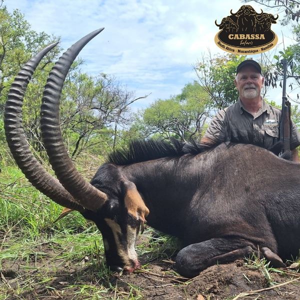 Sable Hunt for Two in Mozambique