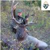 Image 2 : Gobi Ibex and Maral Stag Hunt in Mongolia