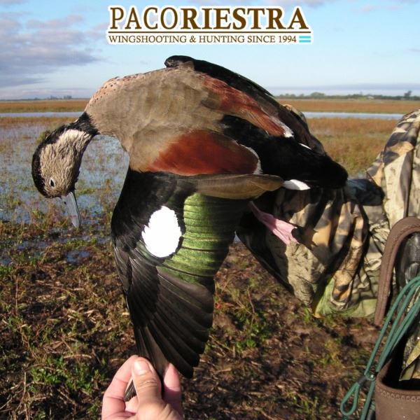 Argentina Cast and Blast for 3 People- Doves, Ducks and Fishing!