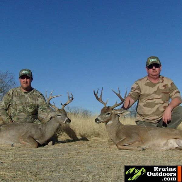 Coues Deer Hunt for 2 in Sonora