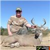 Image 2 : Coues Deer Hunt for 2 in Sonora