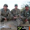 Image 3 : Coues Deer Hunt for 2 in Sonora