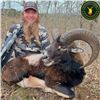 Image 2 : Hunter's Choice Trophy Hunt in Spain