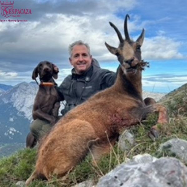 Four Day Cantabrian Chamois Hunt in Spain