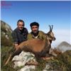 Image 4 : Four Day Cantabrian Chamois Hunt in Spain