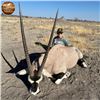 Image 1 : Six Day Namibia Gemsbok Safari for Two Hunters