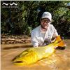 Image 1 : Golden Dorado Fishing Trip for 2 in Argentina