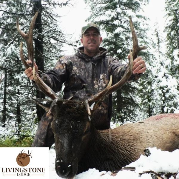 Rocky Mountain Elk Hunt in Alberta
