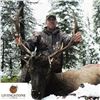 Image 1 : Rocky Mountain Elk Hunt in Alberta