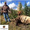 Image 3 : Rocky Mountain Elk Hunt in Alberta