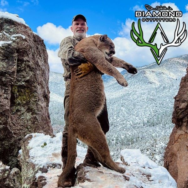 Arizona Trophy Mountain Lion Hunt