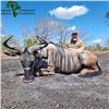 Image 2 : Mozambique Wildebeest Hunt
