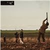 Image 4 : Sweden Hunting Escape: Wingshooting, Big Game and Sight Seeing