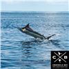 Image 2 : Costa Rica Fishing Trip for Two
