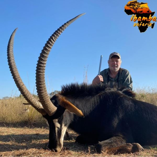 South Africa Seven-Day Roan Antelope or Sable Hunt