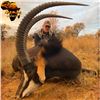 Image 3 : South Africa Seven-Day Roan Antelope or Sable Hunt
