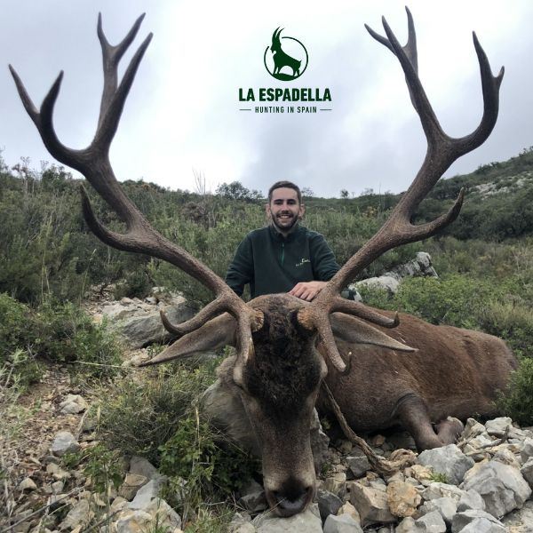 Three Day Stag, Fallow, or Mouflon Hunt in Spain