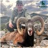 Image 2 : Three Day Stag, Fallow, or Mouflon Hunt in Spain