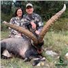 Image 3 : Three Day Stag, Fallow, or Mouflon Hunt in Spain
