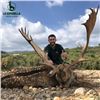 Image 4 : Three Day Stag, Fallow, or Mouflon Hunt in Spain