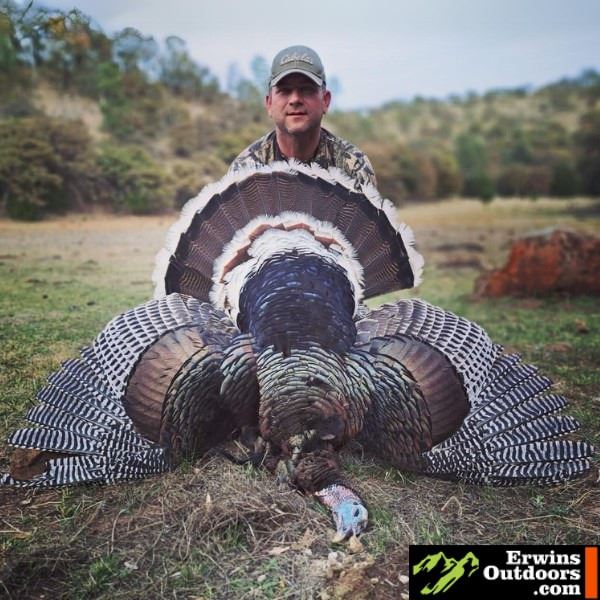 Goulds Turkey Hunt for 2 in Sonora