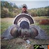 Image 1 : Goulds Turkey Hunt for 2 in Sonora