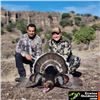 Image 2 : Goulds Turkey Hunt for 2 in Sonora