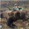Image 1 : Alaska Governor's Tag- Chugach Brown Bear (SB470)