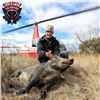 Image 1 : Texas Helicopter Hog Hunt Package