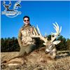 Image 1 : Ohio Three Day Whitetail Deer Hunt For Two Hunters