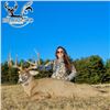 Image 3 : Ohio Three Day Whitetail Deer Hunt For Two Hunters