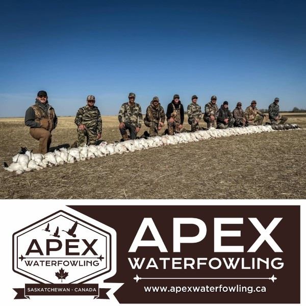 Spring Snow Goose Hunt in Saskatchewan for Two