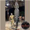 Image 2 : Two-day Alligator Hunt in Florida