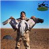 Image 1 : Three Day Texas Sandhill Crane Hunt for Two