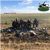 Image 7 : Three Day Texas Sandhill Crane Hunt for Two