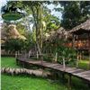 Image 1 : Belize Jungle and Fishing Adventure for Two