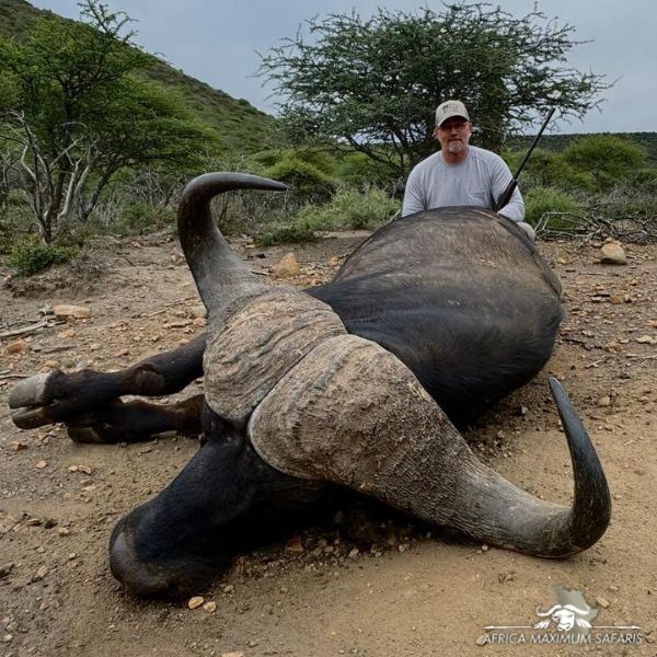 Cape Buffalo and Blue Wildebeest Hunt in South Africa