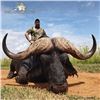 Image 3 : Cape Buffalo and Blue Wildebeest Hunt in South Africa