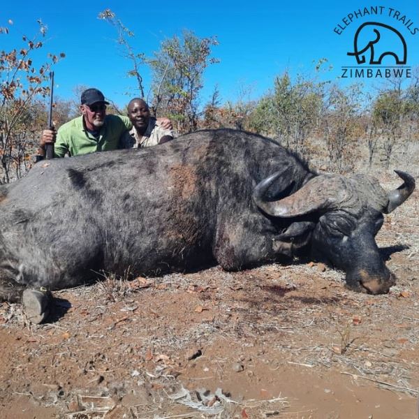 Seven Day Zimbabwe Cape Buffalo Safari