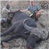Image 3 : Seven Day Zimbabwe Cape Buffalo Safari