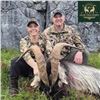 Image 1 : Ireland Ibex or 4-Horn Sheep Hunt for One Hunter and One Observer
