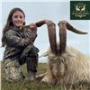 Image 2 : Ireland Ibex or 4-Horn Sheep Hunt for One Hunter and One Observer