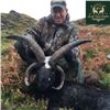 Image 4 : Ireland Ibex or 4-Horn Sheep Hunt for One Hunter and One Observer