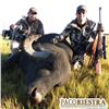 Image 3 : Argentina 5-Day Trophy Red Stag and Water Buffalo Hunt for One Hunter