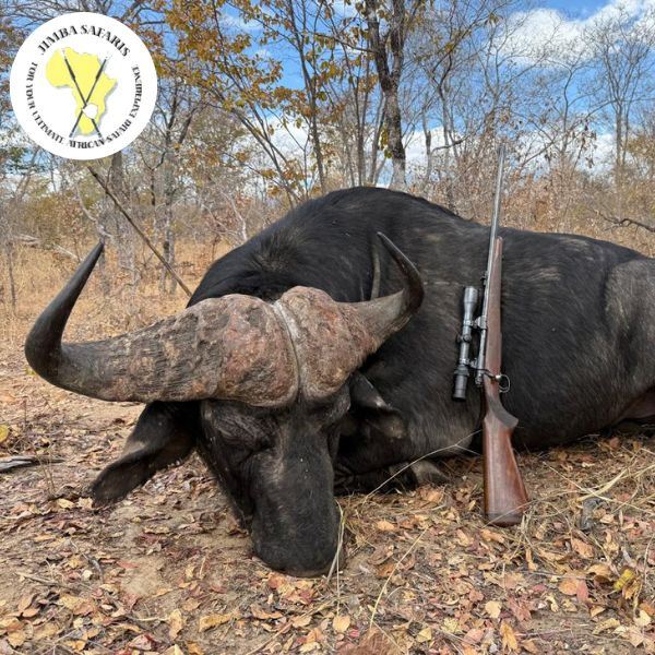 Zimbabwe 10-Day Cape Buffalo Safari