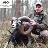 Image 1 : Hungary Mouflon Sheep and Wild Boar Hunt
