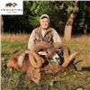 Image 2 : Hungary Mouflon Sheep and Wild Boar Hunt